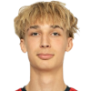 Drachev