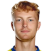 Pedersen
