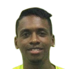 Ibarguen