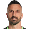 Mitrovic