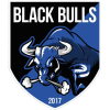 Black Bulls vs Ferroviario Lichinga