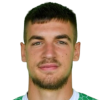 Mitrovic