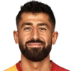 Demirbay K.