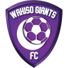 Wakiso Giants