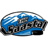 Saastal