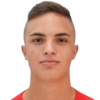 Novak-Stanko Marko