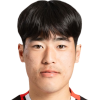 Hong
