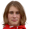 Viktor Stipek