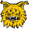Ilves U19