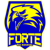 Forte U20