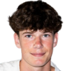 de Vos