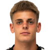 Lebersorger