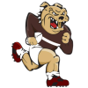 Border Bulldogs