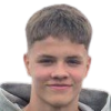 Palmason