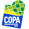 Copa Espirito Santo