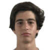 Henrique Ribeiro Pires