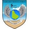 Defence Force