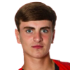 Wellens