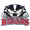 Brock Badgers