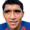 Elgueta