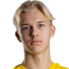 Hukkanen Tatu