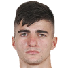 Tsallagov David