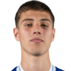 Hadzimujovic