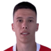 Vesic Uros