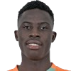 Diarrassouba M. (IVO)