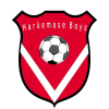 Harkemase Boys