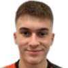 Vrzic