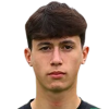 Mussini