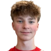 Mikkelsen