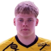 Peltokorpi Aki