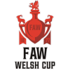 Cúp FAW xứ Wales