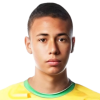 Pabon David