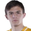 Shvyrev