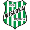 Wisloka Debica