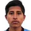 Arce Pari