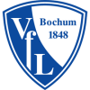 Bochum vs Hoffenheim