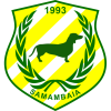 Samambaia