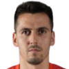 Mehmed Cosic