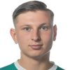 Vogt