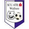Wallsee