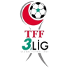 TFF 3. Lig Play Offs