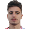 Dino Mizic
