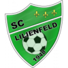 Lilienfeld (Aut)