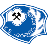 Gornik Konin (Pol)