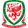 South Wales (Nghiệp dư)