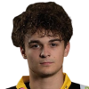 Nico Brotschi